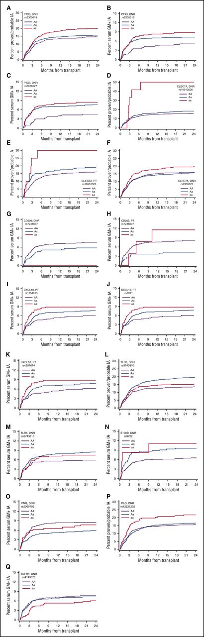 Figure 2. Cumulative incidence curves of SNPs identified in the discovery study and development of IA in the 24 months following hematopoietic cell transplantation, using endpoints of proven/probable IA or serum GM+ IA. (A,D,E,F,L,P) IA; (B,C,G-K,M-O,Q) SGM+.