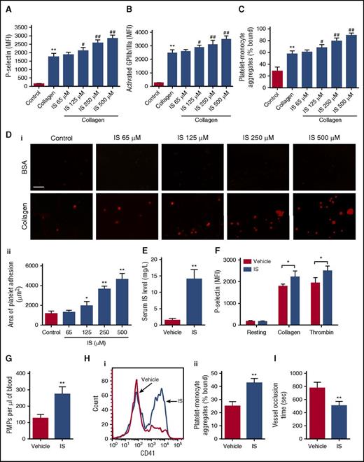 Figure 2. IS has a strong ability to increase platelet activity both in vitro and in vivo. (A-C) The whole blood was pretreated with indicated concentrations of IS for 15 minutes and then stimulated with 2 μg/mL collagen. (A-B) Flow cytometric analysis of the expression of P-selectin and activated GPIIb/IIIa in platelets in response to 2 μg/mL collagen (n = 6). (C) Flow cytometric analysis of the percentage of platelet-monocyte aggregates in vitro (n = 6). (D) Representative images of thrombus formation on a collagen-coated flow chamber under shear-flow conditions using whole blood pretreated with different concentrations of IS (i). Scale bar, 50 μm. Quantification of the area of platelet adhesion for each group (n = 6) (ii). (A-D) Data are mean ± SD. *P < .05, **P < .01 vs control group; #P < .05, ##P < .01 vs collagen group, ANOVA. (E-I) Mice were IP injected with IS (100 mg/kg per day) for 8 weeks. (E) Serum IS levels were measured by high-pressure liquid chromatography (n = 8). (F) Flow cytometric analysis of P-selectin expression in platelets in response to 2 μg/mL collagen or 0.05 U/mL thrombin (n = 6). (G) Flow cytometric analysis of the concentration of PMPs in whole blood (n = 6). (H) Flow cytometric analysis of platelet-monocyte aggregates formation in whole blood in vivo (i). The histogram shows the percentage of platelet-monocyte aggregates in whole blood (n = 6) (ii). (I) The time for carotid artery occlusion by thrombus in a FeCl3-induced thrombosis model (n = 6). (E-I) Data are mean ± SD. *P < .05, **P < .01 vs vehicle group, Student t test.