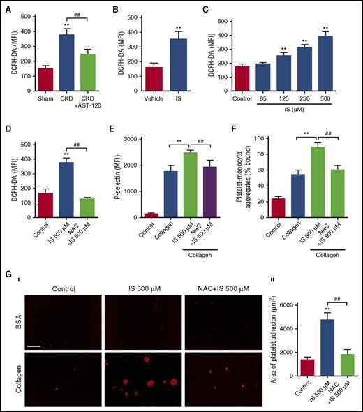 Figure 3. ROS overproduction is involved in IS-induced platelet hyperactivation. (A) Flow cytometric analysis of ROS levels in platelets of CKD mice after AST-120 treatment by DCFH-DA staining (n = 6). Data are mean ± SD. **P < .01 vs sham group; ##P < .01 vs CKD group, ANOVA. (B) Flow cytometric analysis of ROS levels in platelets of IS-treated mice (n = 6). Data are mean ± SD. **P < .01 vs vehicle group, Student t test. (C) Flow cytometric analysis of ROS levels in platelets after being treated with indicated concentrations of IS (n = 6). Data are mean ± SD. **P < .01 vs control group, ANOVA. (D-G) Platelets were pretreated with 5 mM NAC for 15 minutes and then stimulated with 500 μM IS for another 15 minutes. (D) Flow cytometric analysis of ROS levels in platelets (n = 6). (E) Flow cytometric analysis of P-selectin expression in platelets in response to 2 μg/mL collagen (n = 6). (F) Flow cytometric analysis of the percentage of platelet-monocyte aggregates in response to 2 μg/mL collagen in vitro (n = 6). (G) Representative images of thrombus formation on a collagen-coated flow chamber under shear-flow conditions (i). Scale bar, 50 μm. Quantification of the area of platelet adhesion for each group (n = 6) (ii). (D-G) Data are mean ± SD. **P < .01 vs control or collagen group; ##P < .01 vs IS 500 μM group, ANOVA. DCFH-DA, dichlorodihy-drofluorescein diacetate.
