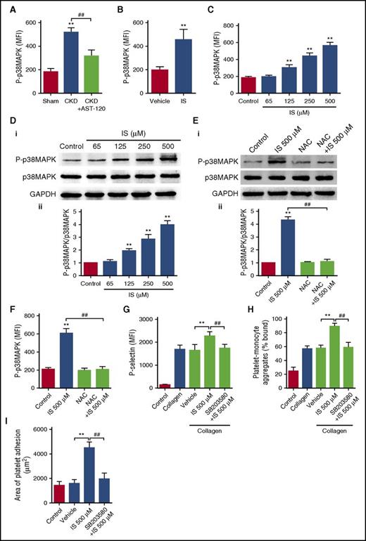 Figure 4. IS increases platelet activity via ROS-induced activation of p38MAPK. (A) Flow cytometric analysis of the expression of P-p38MAPK in platelets of CKD mice after AST-120 treatment (n = 6). Data are mean ± SD. **P < .01 vs sham group; ##P < .01 vs CKD group, ANOVA. (B) Flow cytometric analysis of the expression of P-p38MAPK in platelets of IS-treated mice (n = 6). Data are mean ± SD. **P < .01 vs vehicle group, Student t test. (C-D) Platelets were incubated with indicated concentrations of IS for 15 minutes. (C) Flow cytometric analysis of the expression of P-p38MAPK in platelets (n = 6). (D) Western blot analysis of the expression of P-p38MAPK and p38MAPK in platelets (i). Quantification of the ratio of P-p38MAPK/p38MAPK for each group (n = 3) (ii). (E-I) Platelets were pretreated with 5 mM NAC or 20 μM SB203580 for 15 minutes and then stimulated with 500 μM IS for another 15 minutes. (E) Western blot analysis of the expression of P-p38MAPK and p38MAPK in platelets (i). Quantification of the ratio of P-p38MAPK/p38MAPK for each group (n = 3) (ii). (F) Flow cytometric analysis of the expression of P-p38MAPK in platelets (n = 6). (G) Flow cytometric analysis of P-selectin expression in platelets in response to 2 μg/mL collagen (n = 6). (H) Flow cytometric analysis of the percentage of platelet-monocyte aggregates in response to 2 μg/mL collagen in vitro (n = 6). (I) Quantification of the area of platelet adhesion for each group (n = 6). (C-I) Data are mean ± SD. **P < .01 vs control or vehicle group; ##P < .01 vs IS 500 μM group, ANOVA.