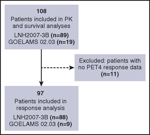 Figure 1. Flowchart of patients included in the analysis.