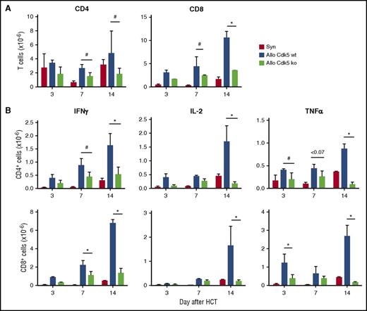 Figure 4. Loss of Cdk5 expression results in fewer donor-derived, cytokine-producing T cells early after HCT. Lethally irradiated B6D2F1 received HCT from either syngeneic (B6D2F1) or allogeneic Cdk5+/+C (Cdk5 wt) or Cdk5−/−C (Cdk5 ko) donors as described in Figure 2. HCT recipients were sacrificed and single-cell suspensions were prepared from spleen of mice 3, 7, 14 days posttransplant. Total numbers of donor-derived, CD4+ and CD8+ T lymphocytes were determined in Kd− or Kd+ cell populations in spleens of mice receiving allo- or syngeneic HCT, respectively (A). Cells were also incubated on anti-CD3–coated plates for 6 hours in RPMI1640 + 10% fetal bovine serum (FBS) containing 1 µg/mL brefeldin A, subsequently stained with anti-CD4 and anti-CD8, and incubated with fluorescent anti-cytokine antibodies. Total numbers of donor-derived, CD4+ and CD8+ T cells were counted and examined for the production of IFNγ, IL-2, and TNFα (B). Data are representative of 1 of 3 replicate experiments. N = 3 to 4 mice per group. *P < .01, #P < .05 or as otherwise noted.