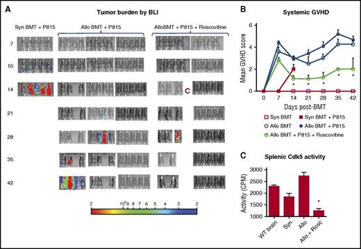 Figure 7. Pharmacologic inhibition of Cdk5 after HCT reduces clinical GVHD severity and while maintaining potent GVL effects. Lethally irradiated B6D2F1 mice received HCT from either syngeneic B6D2F1 or allogeneic (B6) mice as described in Figure 2. Groups of mice received 500 P815 cells previously transduced using a lentiviral vector carrying a luciferase reporter that allows visualization of proliferating cells using bioluminescence imaging (BLI). Syngeneic and allo-HCT recipients were monitored for tumor progress (A) and clinical GVHD severity (B). Roscovitine, at the dose and schedule administered after HCT effectively inhibited Cdk5 activity measured in spleens of mice collected on day 7 posttransplant (C). Data shown are representative of 2 replicate experiments: n = 5 to 12 mice per group; P < .01. Note: A single mouse in the allo-HCT group receiving roscovitine unexpectedly died following anesthesia for BLI and was censored “C”. Radiance is expressed as p/sec/cm2/sr. Color scale: Min = 2.00e4, Max = 2.00e5.