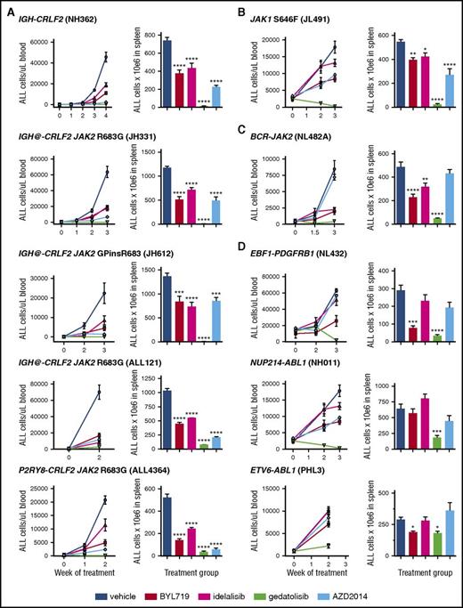Figure 1. In vivo efficacy of PI3K pathway inhibition in Ph-like ALL. PDX models were treated with vehicle, PI3Kα inhibitor BYL719, PI3Kδ inhibitor idelalisib, PI3K/mTOR inhibitor gedatolisib, or TORC1/TORC2 inhibitor AZD2014 (n = 5 mice/treatment arm) daily for 2 to 4 weeks depending on rapidity of leukemia progression in vehicle-treated control animals. PI3K isoform or TORC1/TORC2 inhibition resulted in significant suppression of leukemia proliferation in peripheral blood and end-of-study spleens of most PDX models of (A) CRLF2-rearranged, (B) JAK1-mutant, (C) JAK2 fusion, and (D) ABL/PDGFR-mutant ALL vs vehicle controls. Gedatolisib most effectively inhibited ALL proliferation with near eradication of leukemia in CRLF2/JAK-mutant models and marked suppression in ABL/PDGFR-mutant models. Treatment groups were compared with the vehicle control for each PDX model via 1-way ANOVA with the Dunnett posttest for multiple comparisons with α = 0.05. *P < .05, **P < .01, ***P < .001, ****P < .0001.