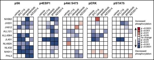 Figure 3. PI3K pathway inhibitors inhibit signaling phosphoproteins and induce minimal compensatory signaling upregulation. Ph-like ALL PDX models were treated with vehicle, BYL719, idelalisib, gedatolisib, or AZD2014 (n = 3-4 mice per treatment) for 72 hours, then sacrificed at 1 hour after final dose for pharmacodynamic measurement of in vivo target inhibition via phosphoflow cytometry. Heatmap data depict significant changes in phosphoprotein levels in inhibitor- vs vehicle-treated controls using the percentage of FMO+ cells (described in Figure 2) for each PDX model. Colorimetric scale depicts normalization of each model to vehicle controls (white squares; leftmost columns) with statistically significant decreased phosphorylation (blue colors) or increased phosphorylation (green colors) with inhibitor treatment as calculated by ANOVA with the Dunnett posttest for multiple comparisons. FMO+ data for all individual mice are displayed in greater detail in supplemental Figure 5.
