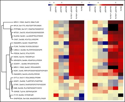 Figure 6. Heatmap summarizing temporal profiles of 23 selected phosphopeptides. PRM (left) and iTRAQ-based (right) temporal phosphorylation profiles are depicted. Phosphopeptides were clustered according to their PRM profiles, the PRM color code represents log2-fold changes compared with controls. In 7 cases, the corresponding quantitative value was missing for the iTRAQ data (black). Notably, the lower precision of iTRAQ-based quantification leads to ratio compression. Therefore, the smaller scale of iTRAQ ratios was adjusted to the PRM measurements to facilitate the visual comparison (ie, iTRAQ log2-ratios ranged from −1.2 to 2.8). In most cases, the overall phosphorylation changes could be confirmed using an alternative quantification method, additional donors, and platelet preparations conducted by different coworkers.