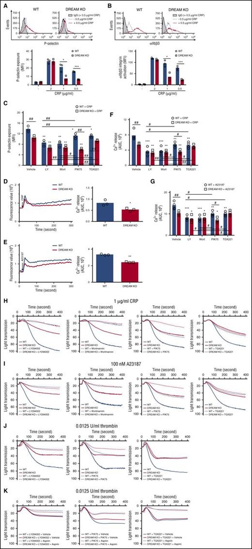 Figure 5. DREAM is important for platelet activation through PI3K-Iβ activity. (A-C) WT and DREAM KO platelets were pretreated (A-B) without or (C) with 0.05% dimethyl sulfoxide (DMSO) (vehicle), 50 µM LY294002 (LY), 0.1 µM wortmannin (Wort), or an isoform-specific inhibitor for PI3K-Iα (0.5 µM PIK75) or PI3K-Iβ (0.5 µM TGX221), followed by stimulation with 0.5 (for panel C), 1, or 2 µg/mL CRP. P-selectin exposure or αIIbβ3 integrin activation was analyzed by flow cytometry. The data are presented as the geometric mean fluorescence intensity (MFI) value (n = 3). (D-E) WT and DREAM KO platelets were incubated with a Ca2+ dye and treated with 0.5 µg/mL CRP or 100 nM A23187 in the absence of exogenous Ca2+ and the presence of 1 mM EGTA. Cytosolic Ca2+ levels were measured and quantified by area under the curve (AUC) (n = 3). (F-G) WT and DREAM KO platelets were incubated with vehicle or a PI3K inhibitor, followed by the Ca2+ assay as described above (n = 4). *P < .05, **P < .01, and ***P < .001 vs WT platelets after Student t test (for panels A-B and D-E) or vehicle-treated WT (white bars) or DREAM KO platelets (gray bars) after ANOVA and the Tukey test (for C and F-G). #P < .05 and ##P < .01 between 2 groups. (H-I) WT and DREAM KO platelets were pretreated with vehicle or a PI3K inhibitor as described above, followed by stimulation with 1 µg/mL CRP or 100 nM A23187. (J-K) WT and DREAM KO platelets were pretreated with vehicle or a PI3K inhibitor and then incubated (J) without or (K) with 1 mM aspirin, followed by stimulation with 0.0125 U/mL thrombin. Representative results of aggregation are presented (n = 3).