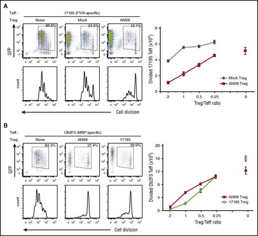 Figure 3. FVIII-specific and bystander immunosuppression by ANS8 CAR Tregs. Sorted human Treg and T-effector cells were transduced with Mock, ANS8 CAR, 17195 TCR, or Ob2F3 TCR, expanded, and rested. (A) Cell proliferation dye (CPD)-labeled 17195 T-effector cells were cocultured with different numbers of Mock or ANS8 CAR Tregs in the presence of FVIII protein (0.4 μg/mL) for 4 days. ANS8 CAR Tregs suppressed FVIII-specific effector T-cell proliferation. (B) CPD-labeled Ob2F3 T effectors were cocultured with different numbers of either ANS8 CAR or 17195 TCR Tregs in the presence of FVIII protein and pMBP for 4 days. ANS8 CAR and 19175 TCR Tregs suppressed MBP-specific effector T-cell proliferation but only when both pMBP and FVIII were present. This figure shows representative cell proliferation data of 17195 TCR (A) or Ob2F3 TCR (B) T-effector cells in the presence of the different Treg populations (left). Graphs show absolute counts of divided GFP+ T-effector cells after coculture with differently engineered Tregs (right, dotted line and closed circle, mock Tregs; closed square, ANS8 CAR8 Tregs; open square, 17195 TCR Tregs). Data indicate mean values for triplicates ± standard error of the mean (SEM). The experiment was repeated with separately transduced T cells from different donors with similar results.