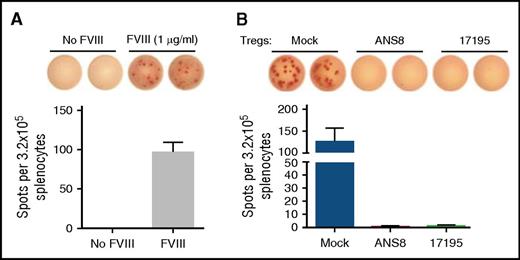 Figure 4. In vitro suppression of antibody production by FVIII-specific CAR Tregs. Whole splenocytes isolated from E16×DR1 mice with high antibody titers (measured by ELISA) were cultured in the presence of FVIII for 6 days and antibody-secreting cells were enumerated by ELISPOT assay. Bars indicate mean ± SEM. (A) FVIII-specific antibody-secreting cells were detected in splenocyte cultures only in the presence of FVIII. (B) Coculture with either ANS8 CAR or 17195 TCR Tregs (but not Mock Tregs) inhibited formation of FVIII-specific antibody-secreting cells. The experiment was repeated with separately transduced Tregs from different donors with similar results.