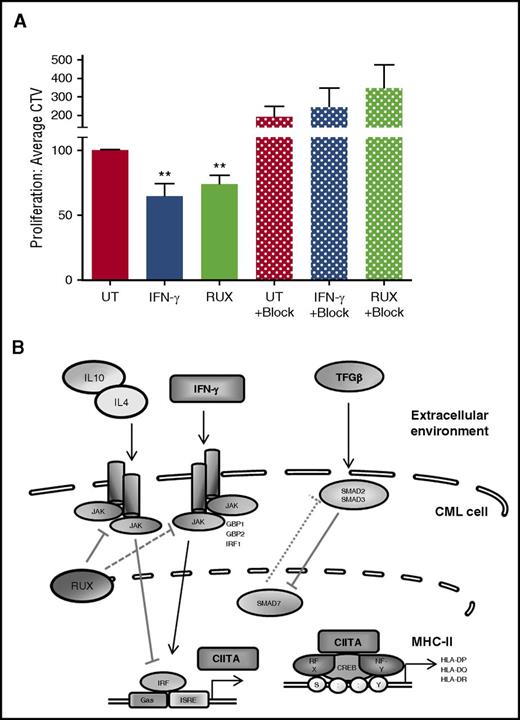 Figure 5. Elevated MHC-II expression is associated with an increase in CD34+ CML cell immunogenicity. (A) Activated and CTV labeled T cells (MNCs from healthy donors) were cocultured with bulk CD34+ CML cells for 72 hours (± treatment as indicated. Block, 10 μg/mL anti-pan HLA-class II blocking Ab). Proliferation of the responder cells was measured as a reduction in the MFI of CTV-labeled CD4+CD69+ T cells (n = 6 ± SEM; n = 3 for MHC-II blocking assays). (B) The autocrine or paracrine growth factor/cytokine signaling pathways that regulate MHC-II expression. Statistical significance was calculated between UT CML sample and all other samples and, if significant, is indicated by asterisks above the bars.