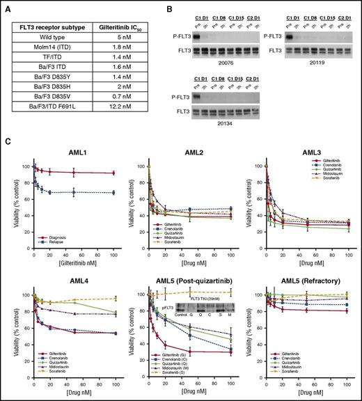 Figure 1. Anti-leukemic activity of gilteritinib. (A) IC50 values for different FLT3 receptor subtypes. Cells expressing the indicated subtype were incubated with ASP2215 for 1 hour at increasing concentrations in RPMI/10% fetal bovine serum (FBS), analyzed by immunoprecipitation/immunoblotting for phospho- and total FLT3, and followed by densitometry. SEMK2 cells express wild-type FLT3, Molm14 cells express a 21-bp ITD mutation, and TF/ITD and Ba/F3 ITD cells express a transfected FLT3 construct containing an 18-bp ITD (see supplemental Methods). Ba/F3 cell lines with the indicated mutant FLT3 isoforms were generated by transfecting the murine lymphocyte Ba/F3 line with constructs expressing the FLT3 receptor (non-ITD–containing, except for the F691L variant) containing the indicated single point mutation. Each IC50 value was calculated from multiple experiments. (B) Gilteritinib inhibits FLT3 phosphorylation in vivo. Plasma samples collected at trough time points from 3 patients enrolled in a gilteritinib study were incubated with Molm14 cells for 1 hour. Immunoprecipitation and immunoblotting were used to detect phospho-FLT3 and total FLT3 at these time points. (C) FLT3 TKI sensitivity ex vivo in primary patient samples is dependent on FLT3 mutation type. (AML1) A comparison of the cytotoxic effects of gilteritinib against 2 samples from patientAML1: 1 collected at diagnosis and the other at relapse. (AML2, AML3) Patients with relapsed AML and a high FLT/ITD allelic burden, respectively. (AML4) A patient with both FLT/ITD and TKD (D835Y) mutations, which confer resistance to type II inhibitors sorafenib and quizartinib when compared with counterparts lacking a FLT3/TKD mutation. (AML5) A patient with a high FLT3-ITD allelic burden who developed a FLT3/TKD (D835I) mutation after being treated with quizartinib. The MTT (3-(4,5-dimethylthiazol-2-yl)-2,5-diphenyltetrazolium) data in were performed with the patient’s blasts after progression on quizartinib and indicate that gilteritinib was the most potent of all 5 FLT3 TKIs against this patient’s blasts. The immunoblot shows the level of phospho-FLT3 expression in blasts after a 1-hour treatment with 20 nM of each FLT3 TKI in RPMI/10% FBS. The patient then enrolled on a crenolanib study and was refractory and was noted to have a new F691L gatekeeper mutation. (AML5 refractory) The MTT assay was repeated with the patient’s blasts after treatment with crenolanib and shows the resistance conferred by the F691L mutation. Supplemental Table 1 provides the mutation profiles of these patients.