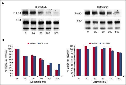 Figure 2. Inhibition of c-Kit and effects on erythropoiesis by quizartinib and gilteritinib. (A) TF-1 cells were treated with increasing concentrations of either quizartinib or gilteritinib in RPMI/10% FBS for 1 hour. Immunoprecipitation and immunoblotting were performed to detect the phosphorylation status of c-Kit and total c-Kit. (B) Mononuclear cells isolated from normal donor bone marrow were plated at 105 cells/mL in MethoCult. Increasing concentrations of quizartinib or gilteritinib were added. Counts for colony-forming unit-granulocyte, monocyte (CFU-GM) and burst-forming unit-erythroid (BFU-E) colonies were done after 10 to 12 days of incubation (n = 3). P-c-Kit, phosphorylated c-Kit.