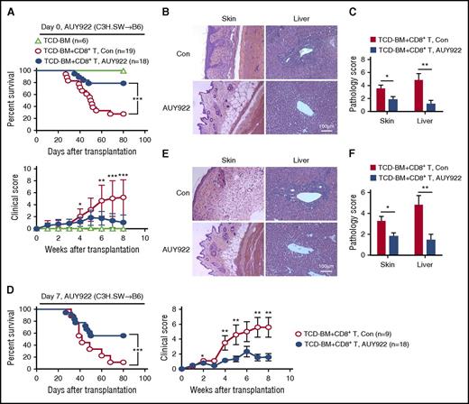 Figure 4. AUY922 treatment reduces GVHD against miHAs. Lethally irradiated B6/SJL recipient mice received C3H.SW TCD-BM or TCD-BM plus CD8+ T-cell transplants. Recipients were treated with 14 doses of AUY922 from day 0 to day 27 (A-C) or 12 doses of AUY922 from day 7 to day 29 (D-F) after transplantation, with phosphate-buffered saline treatment as control (Con). (A,D) Survival and clinical score were monitored over time. (B-C,E-F) Tissues were collected on day 22 and later but before day 55 after transplantation. (B,E) Images were obtained with an Olympus BX41 microscope (magnification ×200; hematoxylin-eosin stain). (C,F) Graphs show the histologic score of GVHD. Error bars indicate mean ± standard deviation. Data are representative of 2 to 3 independent experiments *P < .05; **P < .01; ***P < .001.