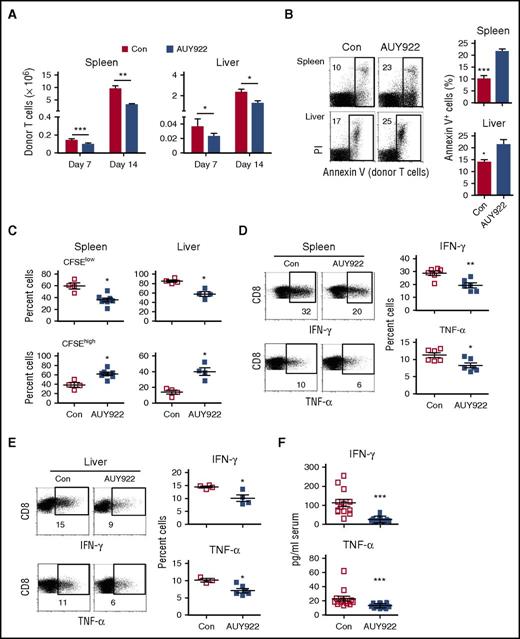 Figure 5. AUY922 treatment reduces alloreactive T-cell responses in vivo. Lethally irradiated B6/SJL recipient mice received C3H.SW TCD-BM transplants, together with CD8+ T cells that had been prestained with CFSE, followed by AUY922 or phosphate-buffered saline (Con) treatment. Cells were recovered from the recipient mice on day 7 (A-F) and day 14 (A) after transplantation. (A) Graphs show the absolute number of recovered donor CD8+ T cells in the spleen and liver. (B) The fraction of apoptotic (Annexin V+) donor T cells. (C) The fraction of CFSElow and CFSEhigh cells in donor T cells. (D-E) The expressions of IFN-γ and TNF-α in donor T cells were examined. (F) Levels of serum IFN-γ and TNF-α were measured by enzyme-linked immunosorbent assay. Error bars indicate mean ± standard deviation. Data are representative of 2 to 3 independent experiments. *P < .05; **P < .01; ***P < .001.