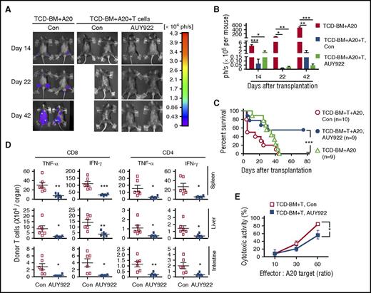 Figure 7. AUY922 treatment preserves donor T-cell–mediated GVL effects. Lethally irradiated BDF1 recipients (11.5 Gy) received B6/SJL mouse–derived TCD-BM (5 × 106) transplants with or without spleen cells (1 × 107) and challenged with A20TGL cells (1 × 106). Fourteen doses of AUY922 were administered from day 0 to day 27 after transplantation. (A-B) In vivo image analysis on days 14, 22, and 42 after transplantation. Graph shows the total-body luminescence intensity. (C) Survival rate was monitored over time. (D) Donor T cells were recovered on day 7 after transplantation. Graphs show the fractions of TNF-α– and IFN-γ–producing donor CD4+ and CD8+ T cells. (E) Donor T cells isolated from the spleen on day 14 were used for cytolytic assay against A20TGL cells. Error bars indicate mean ± standard deviation. Data are representative of 2 to 3 independent experiments. *P < .05; **P < .01; ***P < .001.