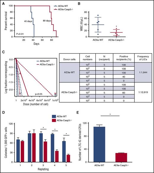 Figure 2. Loss of Caspase-3 impairs leukemia maintenance and self-renewal of LSCs. (A) Survival of secondary transplantation model. Leukemia cells (1 × 105) from the AE9a-WT and AE9a-Caspase-3−/− group were injected into sublethally irradiated recipient mice. (B) WBC counts in the AE9a-WT and AE9a-Caspase3−/− groups in the secondary transplantation model 5 weeks after transplantation. (C) Loss of Caspase-3 significantly decreases the frequency of leukemia-initiating cells in the limiting dilution assay. The log-fraction plot (left panel) showing the results of the limiting dilution assay by using different dilutions of leukemia cells from AE9a-WT and AE9a-Caspase-3−/− groups in vivo (right panel). (D) Deletion of Caspase-3 decreases the self-renewal capacity of AE9a-expressing fetal liver cells in serial replating assays. Shown is the numbers of colonies generated from 1000 AE9a-expressing cells in each plating. (E) Deletion of Caspase-3 decreases the self-renewal capacity of AE9a-transduced fetal liver cells in LTC-IC assays. Shown is the number of colonies generated from 1000 AE9a-expressing cells. CFU, colony-forming unit.