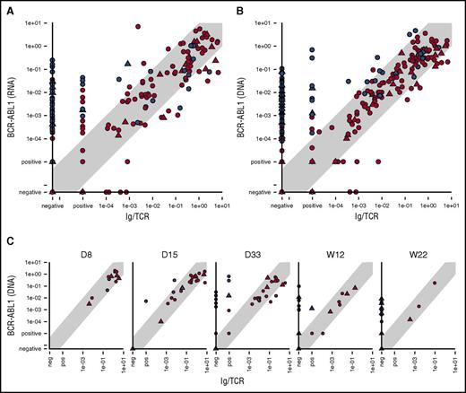 Figure 1. Comparison of the MRD levels in ALL patients. Comparison of the MRD levels in ALL patients measured by Ig/TCR vs BCR-ABL1 transcript quantification (A) as well as vs BCR-ABL1 genomic breakpoint quantification in all samples (B) and separately in selected time points during frontline treatment (C). Samples from patients with major-BCR-ABL1 fusion variant are shown as triangles and minor-BCR-ABL1 as circles. Samples from patients with concordant MRD course are in red, and samples from patients with discordant MRD are in blue. The light gray diagonal shape represents the area of concordance ±1 log. D, day; W, week (from the start of treatment).