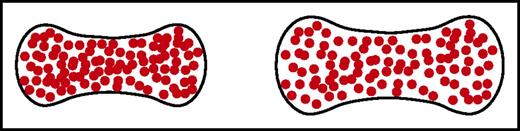 Figure 6. Schematic of normal and swollen red cells. A small increase in red cell volume to decrease the intracellular HbS concentration dramatically increases the delay time of sickling because of its high dependence on the HbS concentration. Even a 10% increase in cell volume is predicted to have a therapeutic effect.89,96