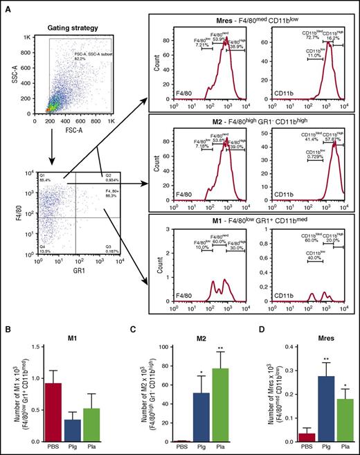 Figure 1. Profile of macrophages recruited to the pleural cavity after injection of Plg/Pla. BALB/c mice were challenged by an i.pl. injection of Plg (2 µg per cavity), Pla (2 µg per cavity), or PBS (vehicle). The cells obtained from the pleural lavage 48 hours after injection of Plg/Pla were analyzed by flow cytometry according to their size and granularity and expression of surface molecules F4/80, CD11b, and Gr1, as described in the gating strategy (A). The cells that migrated to the cavity were classified as M1 (F4/80low Gr1+ Cd11bmed) (B), M2 (F4/80high Gr1– CD11bhigh) (C), and Mres (F4/80med CD11blow) (D) subpopulations of macrophages. Results are expressed as the number of cells and as the mean ± SEM of at least 4 mice in each group. The experiment was performed 3 times with similar results. *P < .05; **P < .01 when compared with mice challenged with PBS.