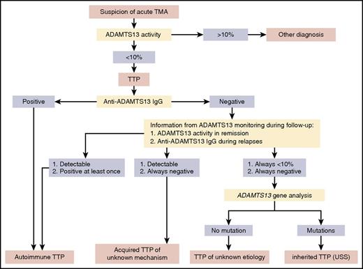 Figure 4. Flowchart for ADAMTS13 investigation in TTP. ADAMTS13 investigation is mandatory in the management of TMA because it is the unique marker able to definitely establish the diagnosis of TTP. ADAMTS13 activity is always the screening assay to perform. If ADAMTS13 activity is less than 10%, the clinical suspicion of TTP is confirmed. Thus, to document the mechanism for ADAMTS13 severe deficiency, detection of anti-ADAMTS13 IgG is the second-rank assay, whereas ADAMTS13 gene sequencing is a third-rank assay limited to selected indications. Data provided by ADAMTS13 monitoring during follow-up are also important to elucidate the mechanism for ADAMTS13 severe deficiency. In almost all cases, this panel of assays performed during both TTP inaugural episode and follow-up allows us to identify the 3 forms of TTP: acquired autoimmune TTP, acquired TTP of unknown mechanism (apparently not linked to ADAMTS13 autoantibodies), and inherited TTP (USS). In some exceptional cases, however, TTP remains with an unknown etiology.