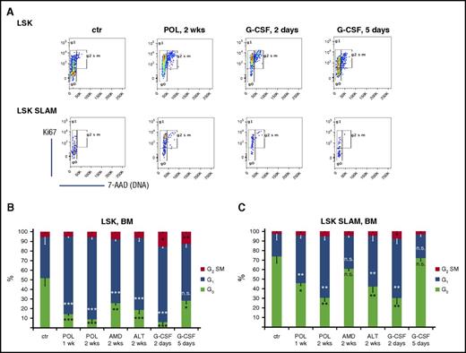 Figure 4. Cell cycle analysis. C57BL/6 mice were treated with the CXCR4 antagonists POL5551 (100 mg/kg per day for 1 or 2 weeks), AMD3100 (20 mg/kg per day for 2 weeks), and ALT1188 (33 mg/kg per day for 2 weeks) via subcutaneous infusion. Control groups received G-CSF (100 μg/kg per dose, 4 or 9 doses every 12 hours) or PBS (controls). (A) Representative Ki67 and 7-aminoactinomycin (7-AAD) staining plots gated on LSK (upper panel) or LSK SLAM (lower panel) cells in the BM of differentially treated mice. Distribution of BM (B) LSK and (C) LSK SLAM cells in G0/G1/G2/S/M phases of the cell cycle (data represent the mean ± SEM of 7 mice per cohort). ***P < .001; **P < .01; *P < .05.