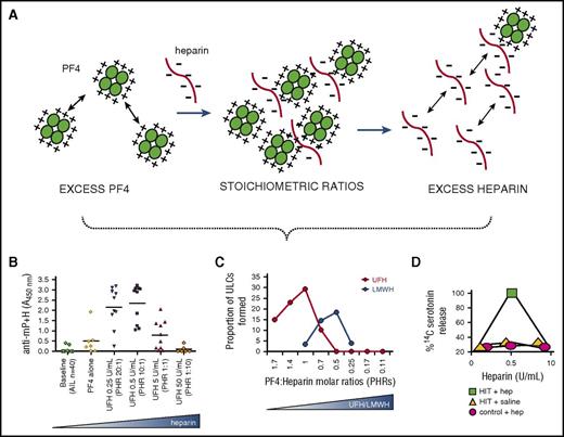 Figure 2. Importance of PF4/heparin ultralarge complexes (ULCs) in HIT pathogenesis. (A) PF4, a positively charged protein, binds to negatively charged heparin through electrostatic interactions to form ULCs that govern HIT biology. At concentrations of PF4 or heparin excess, repulsive forces from excess charge predominate and are not permissive for complex formation. At stoichiometric ratios associated with charge neutralization, ULCs form capable of biological effects associated with in vivo immunogenicity33 (B), differential clinical effects of UFH and LMWH31 (C), and heparin-dependent reactivity in laboratory assays19 (D).