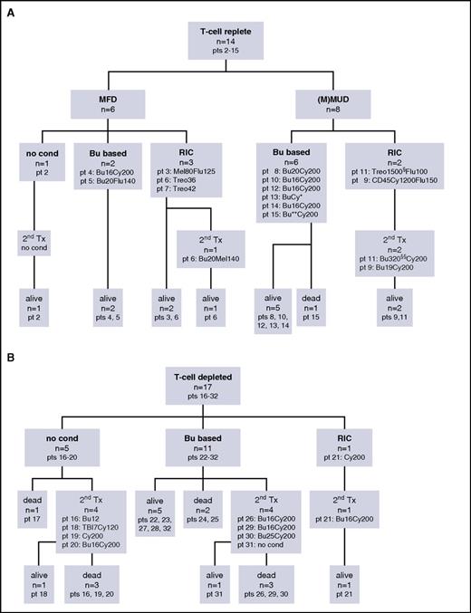 Figure 3. Tree diagrams for patient transplantations. (A) Tree diagram for 14 patients transplanted with T-cell–replete grafts. (B) Tree diagram for 17 patients transplanted with T-cell–depleted grafts. ** indicates dosage not reported; *** indicates targeted Bu 800-1200 µmol/min per L; § indicates treosulfan dosage given in mg/kg; §§ indicates busulfan dosage given in mg/m2. Bu, busulfan dosage given in mg/kg; Bu based, conditioning regimen contains busulfan; CD45, anti-CD45 antibody; Cy: cyclophosphamide dosage given in mg/kg; Flu, fludarabine dosage given in mg/m2; Mel, melphalan dose given in mg/m2; MFD, matched family donor; MMUD, mismatched unrelated donor; MUD, matched unrelated donor; no cond, no conditioning; pt, patient; RIC, reduced intensity conditioning; TBI, total body irradiation dosage given in Gy; 2nd Tx, second transplant; Treo, treosulfan dosage given in g/m2.