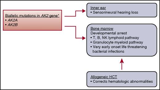 Genetic mutation, clinical characteristics, and treatment. *AK2 gene is expressed in mitochondrial space in a variety of tissues. AK2, adenylate kinase 2; NK, natural killer.