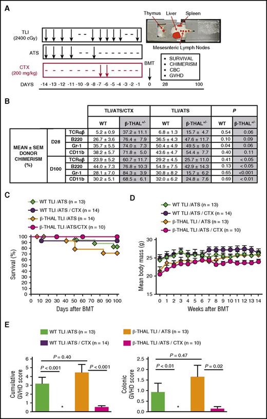 Figure 1. TLI/ATS/CTX overcomes engraftment and GVHD barriers following MHC-mismatched allogeneic BMT for β-thal. (A) Experimental design for TLI/ATS and TLI/ATS/CTX conditioning. Representative image (top right) of recipient mouse in lead shielding jig delineates TLI-exposed regions. Main monitored parameters in recipients of BMT from day 0 to day 100 are indicated in the text box. BMT = 50 × 106 BM + 60 × 106 spleen cells from WT BALB/c (H-2d) donors. CBC, complete blood count. (B) Mean ± standard error of the mean (SEM) donor chimerism (%) at day 28 (D28) and day 100 (D100) measured by FACS analysis of gated live subsets (TCRαβ+, B220+, Gr-1/Ly6+, CD11b/Mac-1+) in peripheral blood of WT and β-thal+/− HW-80 recipients of TLI/ATS/CTX or TLI/ATS conditioning and WT BALB/c BMT. P values given are between TLI/ATS/CTX and TLI/ATS treatment within WT or β-thalassemic (β-thal+/−) recipient groups indicated. (C) Kaplan-Meier analysis of cumulative survival (%) of WT and β-thal+/− HW-80 recipients of TLI/ATS/CTX or TLI/ATS conditioning and WT BALB/c BMT. Data are cumulative (n = 8 experiments). (D) Mean ± SEM body mass (grams) of mice engrafting by day 28 (includes those rejecting the donor graft by D100) in experimental groups shown in C. Data are cumulative (n = 8 experiments). (E) Mean ± SEM cumulative GVHD scores (left) and colon GVHD scores (right) of engrafting WT and β-thal+/−HW-80 recipients of TLI/ATS/CTX or TLI/ATS conditioning and WT BALB/c BMT. Data are cumulative (n = 8 experiments). *Mean score, 0.