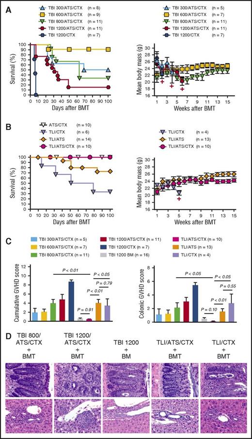 Figure 3. Graft-versus-host immune tolerance following TLI/ATS/CTX conditioning for MHC-mismatched allogeneic BMT for β-thal. (A) Kaplan-Meier analysis of cumulative survival (%) for all mice in each conditioning group (left) and mean ± SEM body mass (grams) of those mice engrafting by day 28 (right) among β-thal+/− HW-80 recipients of WT BALB/c BMT following TBI-containing conditioning. Data are cumulative (n = 28 experiments). Number represents cumulative dose (cGy) TBI (eg, TBI 300, 300 cGy TBI). +, Time point at which 3 or fewer survivors remain in the specified treatment group. (B) Cumulative survival (%) for all mice in each conditioning group (left) and mean ± SEM body mass (grams) of those mice engrafting by day 28 (right) among β-thal+/− HW-80 recipients of TLI-based conditioning or control ATS/CTX conditioning followed by WT BALB/c BMT. Data are cumulative (n = 28 experiments). (C) Mean ± SEM cumulative GVHD scores (left) and colon GVHD scores (right) of those mice engrafting by day 28 among BMT recipients shown in panels A and B. Data are cumulative (n = 28 experiments). (D) Representative photomicrographs of hematoxylin and eosin–stained sections of colon (40×) (top) and liver showing portal triad (40×) (bottom) from selected groups shown in panel C.