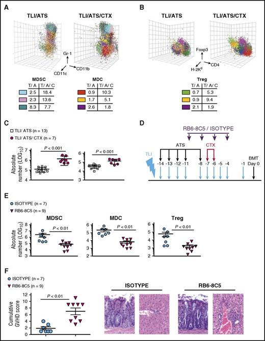Figure 4. TLI/ATS/CTX compared with TLI/ATS conditioning results in enhanced generation of recipient Gr-1high CD11b+ CD11cneg MDSCs and augments recovery of donor Foxp3+ Treg after BMT. (A) Representative 3-dimensional plot of FLOCK centroid analysis (top) on gated H-2Kd-negB220neg cells for PBMC obtained at day 7 post-BMT from a β-thal+/− HW-80 recipient of TLI/ATS or TLI/ATS/CTX and BALB/c BMT, showing recipient MDSCs (blue, pink) and MDC (red, gold). The MDSC (lower left) and MDC tables (lower right) show frequency (%) of the indicated color plots among total analyzed cells as well as percentages for analysis of a control nonincreased population (MDSC, teal; MDC, violet). T/A, TLI/ATS; T/A/C, TLI/ATS/CTX. (B) Representative 3-dimensional plot of FLOCK centroid analysis (top) for PBMC at day 7 post-BMT from a β-thal+/− HW-80 recipient of TLI/ATS or TLI/ATS/CTX and BALB/c BMT. Percentage nTreg populations (green, gold) and 1 control nonincreased population (violet) among total analyzed cells is shown in the Treg table (bottom). (C) Mean ± SEM absolute number H-2Kd-negB220negCD11b+Gr-1highCD11cneg cells (MDSC) (left) and H-2Kd-negB220negCD11b+Gr-1lowCD11c+ cells (MDC) (right) at day 7 in spleen of recipients of TLI/ATS or TLI/ATS/CTX and WT BALB/c donor BMT. (D) Protocol for MDSC depletion during TLI/ATS/CTX conditioning. WT B6 mice received TLI/ATS/CTX and IP injection of depletive anti-Gr-1/Ly6 clone RB6-8C5 or rat IgG2a isotype control antibody, followed by WT BALB/c BMT. At day 7 after BMT, recipients were euthanized for FACS analysis of MDSC, MDC, and Foxp3+ Treg recovery and histopathologic assessment of GVHD target organs. BMT = 50 × 106 bone marrow cells + 60 × 106 spleen cells from WT BALB/c donors. (E) Mean ± SEM absolute number recipient MDSCs (left), recipient MDCs (middle), and donor Treg (right) at day 7 post-BMT in spleens of recipients of IgG2a isotype control antibody or RB6-8C5 during TLI/ATS/CTX conditioning. (F) Mean ± SEM cumulative GVHD scores for mice represented in panel E. Data are cumulative (n = 3 experiments). Representative photomicrographs of hematoxylin and eosin–stained sections of colon (×40) (left) and liver (×40) (right) from each group.
