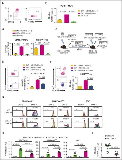 Figure 6. Adoptively transferred GVHD-regulatory MDSCs enhance donor nTreg recovery through generation of PD-L1–expressing MDCs. (A) Representative FACS plots of peripheral blood in a WT B6 adoptive recipient at day 7 following infusion of 2 × 106 sorted CD45.1+ MDSCs and WT BALB/c BMT, as shown in Figure 5A. Left panel, gated live CD45.1+ cells demonstrating gating of CD11b+Gr-1low cells; right panel, gated live CD45.1+CD11b+Gr-1low cells demonstrating gating of side scatter (SSc) and CD11c to determine percentage MDCs. (B) Mean ± SEM absolute number (log 10) CD45.1+ recipient MDSC-derived MDCs expressing PD-L1 (PD-L1+ MDC) at day 7 post-BMT in spleens of adoptive recipients in treatment groups shown in Figure 5B. (C) Mean ± SEM absolute number (log 10) recipient MDSC-derived MDCs (CD45.1+ MDC) (left) and H-2Kd+CD4+CD25+Foxp3+ donor-derived Treg (H-2Kd+ Treg) (right) per 106 PBMC at day 7 following secondary BMT in adoptive recipients shown in Figure 5B. Data are cumulative (n = 5 experiments). (D) Protocol for depletion of MDSC-derived MDCs following MDSC adoptive transfer: (1) CD11c-hDTR transgenic (CD45.2) B6 mice received TLI/ATS/CTX followed by (2) CD45.1 BALB/c BMT. (3) At day 7 following BMT, H-2Kd-negB220negCD11b+Gr-1highCD11cneg MDSCs were sorted from spleens of recipients in (2) and 2 × 106 MDSCs infused IV (3) into adoptive CD45.1 B6 recipients of 1000 cGy TBI (4), followed by (5) CD45.1 BALB/c BMT. (5) Adoptive recipients of CD11c-hDTR transgenic MDSCs received either PBS vehicle control or 8 ng/g DT at 72 hours (day 3) post-BMT (6). Adoptive hosts were followed for 80 days for survival and signs of GVHD, with peripheral blood collected on days 7 and 28 to assess key immune subsets by FACS. BMT at day −7 = 50 × 106 bone marrow cells + 60 × 106 spleen cells from BALB/c donors; BMT at day 0 = 10 × 106 bone marrow cells + 10 × 106 spleen cells from BALB/c donors. (E) Representative FACS plots (left) and mean ± SEM absolute number (log 10) (right) CD45.2+ MDSC-derived MDCs (CD45.2+ MDC) per 106 PBMC in adoptive recipients shown in Figure 6D. Data represent n = 2 experiments. (F) Representative FACS plots (left) and mean ± SEM absolute number (log 10) H-2Kd+CD4+CD25+Foxp3+ donor-derived Treg (H-2Kd+ Treg) (right) in adoptive recipients shown in Figure 6D. Data represent n = 2 experiments. (G) Representative proliferation plots for CD4+Foxp3+ donor Treg, CD4+Foxp3neg donor CD4 effector, and CD8+ effector T cells among gated H-2Kd+TCRβ+ cells at day 7 in spleens of WT recipients of TLI/ATS/CTX conditioning and BMT from WT (top) or PD-1−/− donors (bottom). Data represent a total of n = 10-15 individual mice over n = 2 separate experiments. (H) Mean ± SEM proliferation for CD4+Foxp3+ donor Treg, CD4+Foxp3neg donor CD4 effector, and CD8+ effector T cells among gated H-2Kd+TCRβ+ cells at day 7 in spleens of WT recipients of TLI/ATS/CTX conditioning and BMT from WT (top) or PD-1−/− donors (bottom). Data represent pooled samples from 2 to 3 animals per data point (n = 10 WT and n = 15 PD-1−/−) over n = 2 experiments. (I) Mean ± SEM absolute number (log 10) CD4+Foxp3+ donor Treg among colonic IELs at day 7 in mice represented in panel H. Data represent a total of n = 10-15 individual mice per group over n = 2 separate experiments.