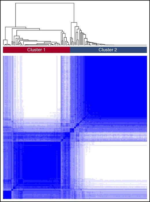 Figure 1. Consensus clustering in SCD. The figure depicts the matrix of all consensus indices with each element in this matrix representing the index for 1 pair of samples. In an ideal matrix, all consensus indices would be 1 or 0, indicating that each pair of samples always or never, respectively, clustered together during the resampling. In the training cohort, 2 broad clusters were identified upon resampling.
