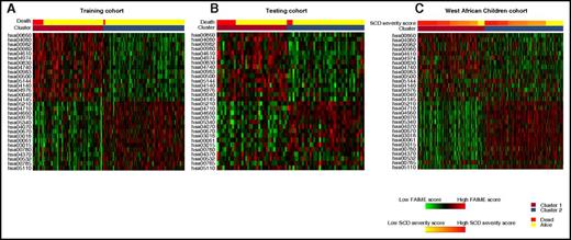 Figure 3. Heat map depicting FAIME scores of 30 signature pathways stratified by clusters and overall survival. (A) Heat map of scores of all of the differentially regulated pathways between those who survived (yellow, top) and died (red, top) as well as those in clusters 1 (orange, top) and 2 (blue, top) within the training cohort. (B) Heat map of scores from the testing cohort. The panel depicts a heat map of scores of all of the differentially regulated pathways stratified by clusters 1 (orange, top) and 2 (blue, top). (C) SCD severity scores (yellow to red, top) within the West African Children cohort. Red and green in the panels indicate an increase or decrease in gene expression, respectively.