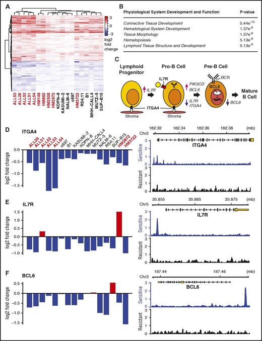 Figure 1. Dex regulates B-cell development genes in sensitive B-ALL samples. (A) Heatmap clustering genes commonly regulated (KS test, q ≤ 10−4) by dex across 16 samples. Primary and PDX samples are marked red; cell lines, black. (B) Ingenuity pathway analysis of regulated genes shows enrichment for hematological development genes. (C) Stop or push through model for dex in B-cell development highlighting the roles of dex-repressed ITGA4, IL7R, and BCL6. (D-F) Differential gene expression values across sensitive B-ALL sample across samples measured by microarray (left) and GR occupancy in sensitive (B1) and resistant (HM3101) samples measured by ChIP-seq in response to dex suggest ITGA4, IL7R, and BCL6 are direct targets of GR regulation.