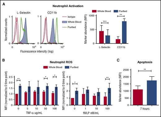 Figure 1. Purification and separation of human neutrophils from whole blood promotes neutrophil activation and apoptosis. (A) Heparinized human blood or purified neutrophils were evaluated for the expression of l-selectin and CD11b in resting conditions. Expression of cell surface markers was analyzed by flow cytometry and shows mean fluorescence intensity (MFI) gated on CD66b-positive cells. Histograms show the representative MFI from the 5 independent donors (left). Graph shows MFI, ± standard error of the mean (right). **P < .0066; ***P < .0004. (B) MFI of phagosomal ROS was analyzed from neutrophils in blood and purified neutrophils using Fc-OxyBURST Green assay reagent after 15 minutes and with the addition of TNF-α or fMLP; n = 4. *P < .0152 (left); *P < .0133 (right); **P < .0019. (C) Apoptosis of neutrophils was analyzed by TUNEL assay from neutrophils in whole blood and purified neutrophils at 7 hours. All CD66b+ neutrophils (3000 cell events) were analyzed for TUNEL MFI; n = 3. **P < .0020. All statistical data analyzed by Student paired t test versus control values. fMLP, formyl-methionyl-leucyl-phenylalanine; ROS, reactive oxygen species; TNF-α, tumor necrosis factor α; TUNEL, terminal deoxynucleotidyltransferase-mediated dUTP nick end labeling.