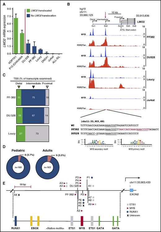 Figure 1. LMO2 intron 1 mutations in pediatric and adult human T-ALL. (A) LMO2 expression as determined by qRT-PCR in LMO2 translocated T-ALL cell lines (KOPT-K1 and P12-Ichikawa) and nontranslocated T-ALL cell lines (DU.528, PF-382, Loucy, DND41, Jurkat, and ALL-SIL). (B) ChIP-Seq tracks at the LMO2 locus for MYB and H3K27ac in PF-382, DU.528, Loucy, and Jurkat T-ALL cell lines. Y-axis values are reads per bin per million mapped reads. Mutations are shown below as identified by Sanger sequencing of PF-382 and DU.528 DNA, with inserted sequences shown in red and MYB motifs underlined. The position weight matrices for the primary and secondary MYB binding sites are from UniPROBE.27 (C) Pie chart summarizing the percentage of LMO2 transcripts identified by rapid amplification of 5′ complementary DNA ends that start from the distal, intermediate, and proximal promoters for the PF-382, DU.528, and Loucy T-ALL cell lines. A total of 20, 21, and 22 LMO2 transcripts was examined for PF-382, DU.528, and Loucy T-ALL cell lines, respectively. (D) Pie chart summarizing mutation recurrence within pediatric and adult human T-ALL cohorts. (E) Indels mapped to the LMO2 intron 1 mutation hotspot labeled with the associated de novo consensus site as aligned to the UniPROBE or HOCOMOCO position weight matrices, in which MYB, ETS1, and RUNX1 sites are marked as a triangle, square, and diamond, respectively. Below, motif analysis of the region shows the native binding sites for members of the TAL1 complex, including RUNX1, E-box (for TAL1 binding), ETS1, MYB, and GATA. TSS, transcription start site.