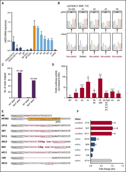 Figure 2. LMO2 intron 1 indels are predominantly monoallelically activating, and CRISPR/Cas9-mediated knockout of the PF-382 mutant allele downregulates LMO2 expression. (A) LMO2 expression as determined by qRT-PCR in human sorted thymic subsets, primary patient samples with LMO2 intron 1 indels, and the wild-type Jurkat cell line. P < .002 for samples A1, A2, A3, A9, and P6 vs double negative and double positive by two-tailed t test. Primary patient samples were assessed for the absence of biallelic TCR-γ deletion (ABD), of which patient sample A4 (orange bar) exhibited ABD, whereas all other patients were non-ABD. (B) The informative single nucleotide polymorphism (SNP) (rs3740617) was amplified in 4 patient samples and the DU.528 cell line from both genomic DNA (gDNA) and complementary DNA (cDNA) templates to infer monoallelic expression. To do this, if one chromatogram peak is detected at a heterozygous SNP within the cDNA, the expression can be interpreted as coming from one allele. (C) Quantification of the number of reads mapped to the wild-type (WT) or mutant (MUT) allele where 54 of 56 reads and 85 of 85 reads mapped to the mutant alleles for DU.528 and PF-382, respectively. (D) Firefly luciferase activity after renilla and no-insert vector normalization for patient-derived indels. Data shown are from ≥3 independent experiments performed in triplicate. Values are mean ± standard deviation and P values were calculated by a two-tailed Student t test. (E) The yellow highlighted sequence is the target region for the CRISPR/Cas9 guide RNA. Aligned sequences are from CRISPR/Cas9-edited PF-382 single-cell clones showing the associated genomic edits generated. Red sequences are inserted sequences, blue are altered, and dashes represent deleted bases. Underlined region shows the presence of the native and mutant MYB binding sites. (F) Gene expression of LMO2 for each PF-382 clone, as determined by qRT-PCR. Data are expressed as fold change relative to the mean expression of the unedited clones in arbitrary units (AU). Clones are labeled as “unedited” when CRISPR/Cas9 did not edit the region targeted by the guide RNA and “edited” when successful targeting led to the formation of an indel. *P ≤ .05, **P ≤ .01, ***P ≤ .001, and ****P ≤ .0001. NOI, no-insert control; T/C, T to C single nucleotide polymorphism.