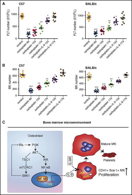 Figure 7. Low doses of IL-9 accelerate platelet recovery after chemotherapy-induced thrombocytopenia. (A) C57BL/6 mice (2 months old) were injected with carboplatin (100 mg/kg); 8 days later, mice were treated with IL-9 (IP, 2.5 µg/kg per day) for another 8 days and platelet numbers were counted (n = 10, 1-way ANOVA). (B) MK counts in mice (n = 10, 1-way ANOVA). Data are representative of 3 independent experiments and are represented as mean ± SD. *P < .05; **P < .01; ***P < .001. (C) Schematic model for regulation of megakaryocyte formation by osteoblast through secretion of IL-9. IRs, insulin receptor substrates.