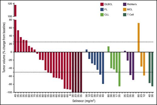 Figure 2. Waterfall plot by NHL subtype of change in target lesions. Quantitative target lesion assessment was not available for 24 evaluable patients. These included 20 patients with progressive disease based solely on clinical symptoms and 4 patients with stable disease who remained on study >1 cycle without evidence of disease progression before withdrawing consent. Black diagonal lines indicate PET-CT–confirmed CR. MCL, mantle cell lymphoma.