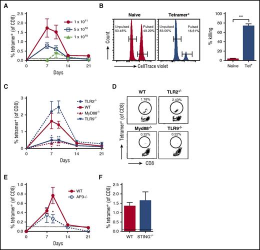 Figure 1. Unique role of TLR9-MyD88 signaling in CD8+ T-cell responses to the AAV capsid. (A) Dose response of AAV2-SIINFEKL in WT mice (n = 4/group) following IM injection. Anti-capsid CD8+ T-cell responses were assessed in peripheral blood on days 7, 10, 14, and 21 by flow cytometry with an H2-Kb–SIINFEKL tetramer. (B) In vivo cell killing assay to demonstrate functionality of anti-capsid CD8+ T cells. Representative histograms show preferential killing of SIINFEKL peptide pulsed, 3 μM CTV-labeled splenocytes adoptively transferred into mice positive for anti-capsid CD8+ T cells (tetramer+). Control unpulsed, 0.3 μM CTV-labeled splenocytes were not killed. No killing was observed in naïve mice that were negative for anti-capsid CD8+ T cells. Percentage killing (n = 2/group) of SIINFEKL peptide-pulsed splenocytes by tetramer+ or naïve mice is indicated. (C) WT, TLR2−/−, TLR9−/−, or MyD88−/− mice were IM injected with 1 × 1011 vector genomes (vg) of AAV2-SIINFEKL (n = 4/group). Anti-capsid CD8+ T-cell responses were assessed in peripheral blood by flow cytometry as a function of time. Significant differences compared with WT mice are indicated. (D) Examples of peak responses for individual mice. (E) WT or AP3−/− mice were IM injected with AAV2-SIINFEKL, and anti-capsid CD8+ T-cell responses were assessed in peripheral blood over time (n = 4/group). (F) WT or STING−/− mice were IM injected with AAV2-SIINFEKL, and anti-capsid CD8+ T-cell responses were assessed in peripheral blood 8 days post-injection (n = 4/group). The dotted line at 0.1% represents the limit of detection of capsid-specific CD8+ T cells using the tetramer. Data points are averages ± SEM. Statistically significant decreases compared with responses in WT mice are indicated. P values: (B) **P =.005; (C) day 7, *P =.03 for WT vs MyD88−/− and *P =.049 for WT vs TLR9−/−; (C) day 10, **P =.004 for WT vs MyD88−/− and **P =.006 for WT vs TLR9−/−; (E) *P =.045. IM, intramuscular(ly).
