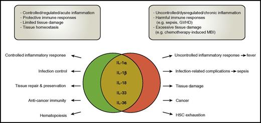 Figure 1. The dichotomous roles of the IL-1 cytokine family members. Cytokines of the IL-1 family are involved in many processes during health and disease. Their role is, however, often dichotomous, with the balance between benefit and harm quite fragile. In many diseases, including infections, GVHD, MBI, and cancer, in general “too much” cytokine release seems harmful, emphasizing the “Goldilocks principle” which states that the immune response should be “just right.” HSC, hematopoietic stem cell.
