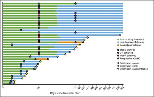 Figure 1. Swimmer’s plot of response/outcomes (n = 34).