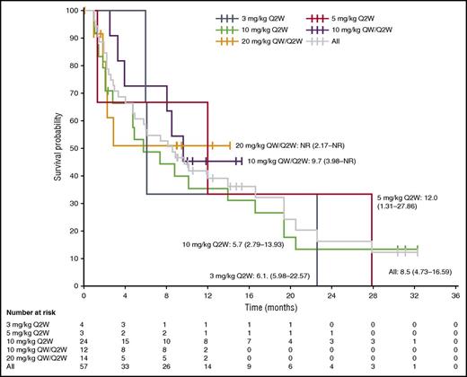 Figure 4. Kaplan-Meier analysis of PFS. Median PFS (95% CI) (months) is plotted for each dose cohort and the total population. NR, not reached.