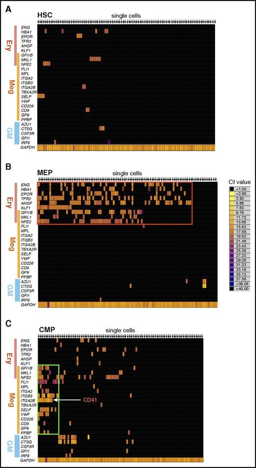 Figure 1. Single-cell gene expression profiling revealed a distinct CMP subpopulation characterized by expression of megakaryocyte-specific genes. Heat map visualization of single-cell gene expression profiling of BM-derived HSPCs. Gene expression levels of individual single-cells from (A) HSC, (B) MEP, and (C) CMP fractions are shown. Genes related to erythroid (Ery), megakaryocyte (Meg), or GM lineage are listed on the left side of the heat map. Annotation for each gene is presented in supplemental Table 1. Representative heat maps from 3 independent samples are shown. (B) Most MEPs expressed erythroid-specific genes (red rectangle) but not megakaryocyte-specific genes. (C) A cluster of cells that exclusively expressed megakaryocyte-specific genes at a high level was observed (green rectangle).