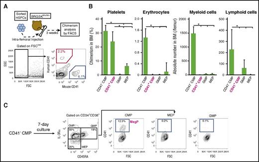 Figure 4. CD41+ CMPs show strong platelet-producing ability in a xenotransplantation model. (A) Experimental schema of xenotransplantation. CB-derived HSPCs were injected into BRGSKWv/Wv mice via femur. After 3 weeks, chimerism of progenies in each lineage (CD33+ myeloid cells, CD19+ B cells, CD3+ T cells, GPA+ erythrocytes, CD41+ platelets) was analyzed using FACS. For the evaluation of erythrocytes or platelets, the forward-scatter (FSC) detector voltage was magnified, and FSClow cells (black rectangle) were analyzed. (B) Chimerism of human platelets, erythrocytes, and myeloid and lymphoid cells was determined after transplantation of each progenitor fraction. Engraftment of human myeloid and lymphoid cells was assessed by absolute counts. Bars indicate means ± standard deviations. *P < .05 (1-way analysis of variance followed by Tukey’s HSD test; n = 3). (C) Immunophenotypic changes of BM-derived CD41− CMPs after a 7-day liquid culture. CD41− CMPs gave rise to CD41+ CMPs (CD34+ CD38+ IL-3Rαdim CD45RA− CD41+). Representative FACS plots from 3 independent experiments are shown. SSC, side scatter.