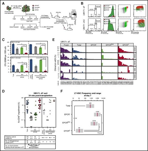 Figure 1. The EPCR+ population is enriched with LT-HSCs in culture. (A) Schematic representation of the experimental design to determine the impact of EPCR expression levels on HSPC activity in CB cultures expanded with UM171 (38 nM). (B) FACS profiles showing the percentage of EPCR subsets and their distribution in CD34+ and CD34+CD45RA– populations after culture (mean ± SD, 5 biological replicates). (C) CFU-GEMM counts for sorted EPCR subsets after culture (mean ± SD, 3 technical replicates, 2 biological replicates); *P < .05 (Mann-Whitney U test, 1-sided). Human (Hu) CD45 engraftment (D) and lineage potential (E) assessed for each NSG recipient (identified as NSG-ID) of the indicated sorted cells after 7 days of culture; n = 3 to 20 mice per condition (each geometric shape corresponds to a biological replicate; horizontal bars indicate median values). (F) Frequency of LT-HSCs within EPCR–, EPCRLow, and EPCR+ populations. Estimated LT-HSC frequencies (red lines) and 95% confidence intervals (gray boxes) presented as 1/number of sorted cells at day 7. Significance level *P < .05 (Mann-Whitney U test, 1-sided).