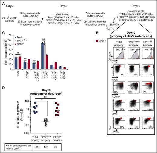 Figure 2. Expanded EPCR+ progeny retains most of the HSPC activity. (A) Schematic representation of EPCR sorting and transplantation strategy to characterize the progeny of the EPCR+ population. (B) FACS profiles showing expression of the indicated markers on cultured EPCR subsets. (C) Fold expansion of the indicated HSPC populations from day 3 to day 10 of the culture (mean ± SD, 3 technical replicates). Differences between conditions are statistically significant unless labeled as not significant (ns; Mann-Whitney U test, 1-sided). (D) Engraftment levels of EPCR subset progeny in NSG mice at day 10 of the culture. Horizontal bars indicate median values (n = 6 to 7 mice per condition, technical replicates). *P < .05 (Mann-Whitney U test, 1-sided).