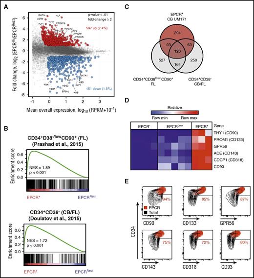 Figure 3. Gene expression profile of cultured EPCR+ population is enriched with HSC-related genes. (A) Scatter plot of global mRNA profiling showing upregulated (red) and downregulated (blue) genes in EPCR+ versus EPCRRest (EPCR– and EPCRlow) populations (selection criteria: P ≤ .01, mean expression ≥1 RPKM; ≥ 2-fold difference). (B) GSEA plot showing enrichment for HSC-related genes in the EPCR+ population. Gene expression profiles of uncultured purified human HSCs derived from CB and fetal liver (FL) from 2 independent data sets were used for the GSEA analysis. All comparisons were significant. (C) Venn diagram showing the number of common and distinct upregulated genes in the EPCR+ population in CD34+CD38low/–CD90+ FL cells and in CD34+CD38– (FL and CB) cells. mRNA (D) and protein (E) levels of known HSC surface markers in various CB cell populations. GPR56, G protein-coupled receptor 56; NES, normalized enrichment score.