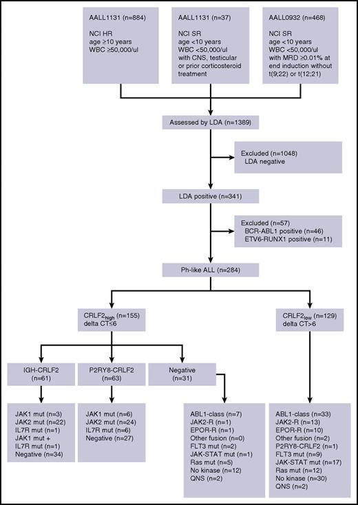 Figure 1. Algorithm used for analysis of patient cases. Testing pipeline developed for downstream characterization of low-density array+ (LDA+) patient cases for identification of specific genetic events to allocate subgroups for specific targeted therapies with ABL-class TKIs and JAK inhibitors. CNS, central nervous system; HR, high risk; mut, mutation; QNS, quantity not sufficient; R, rearrangement; SR, standard risk.